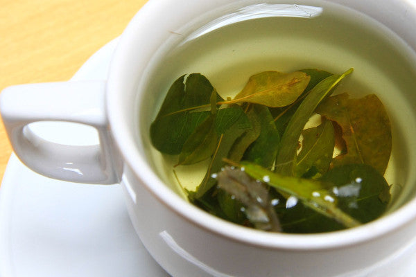 Mate de Coca