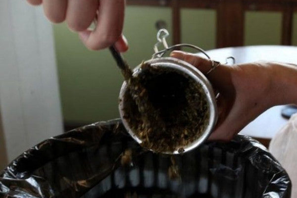 Calebasse maté moisie