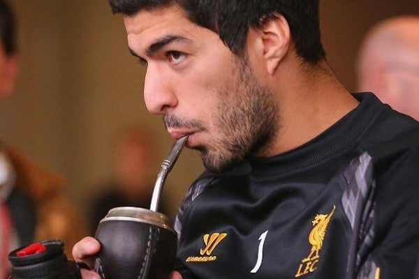 Luis Suarez Maté