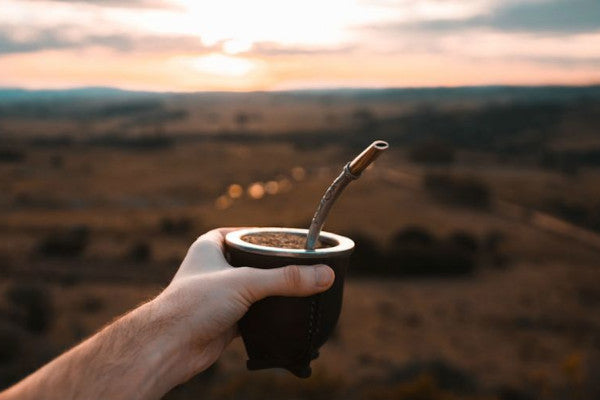 Le maté, une excellente boisson énergisante naturelle