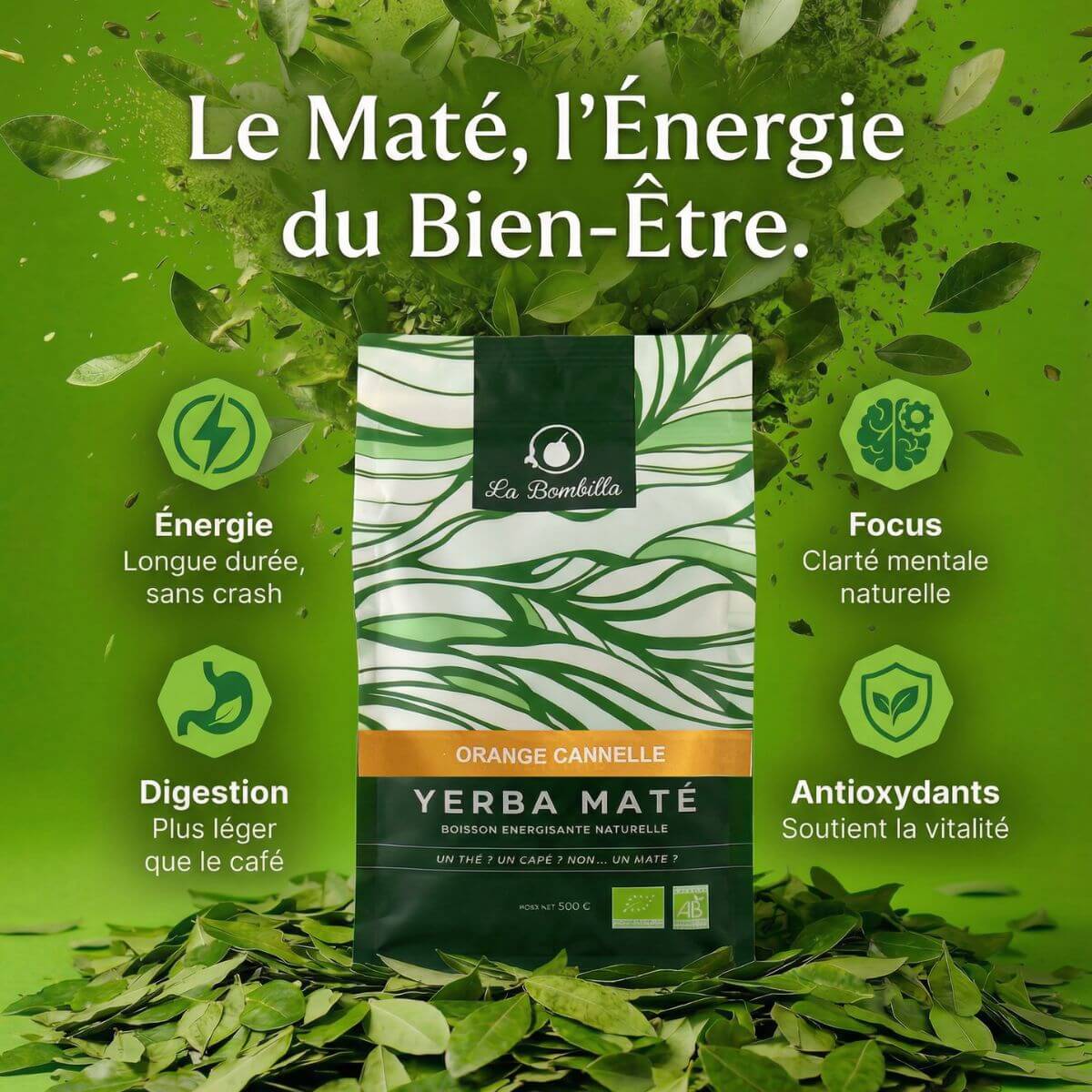 Maté Orange Cannelle Bio