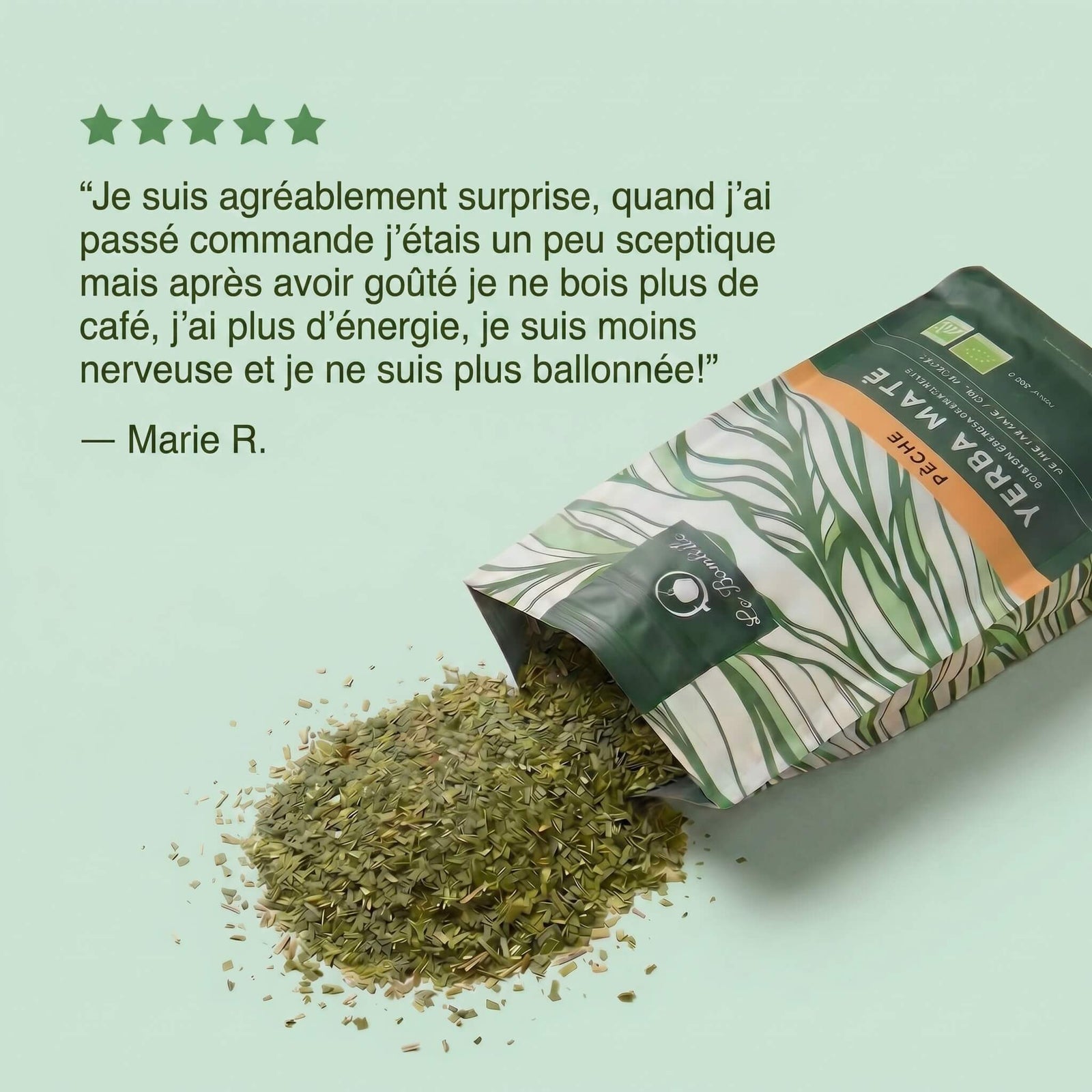 Maté Pêche Bio